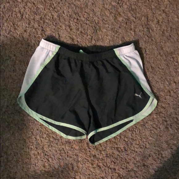 Puma shorts - Picture 1 of 1